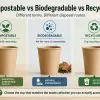 Comparison of compostable, biodegradable, and recyclable paper cups to choose eco-friendly packaging