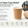 Step-by-step workflow and modern technology used in making paper cups